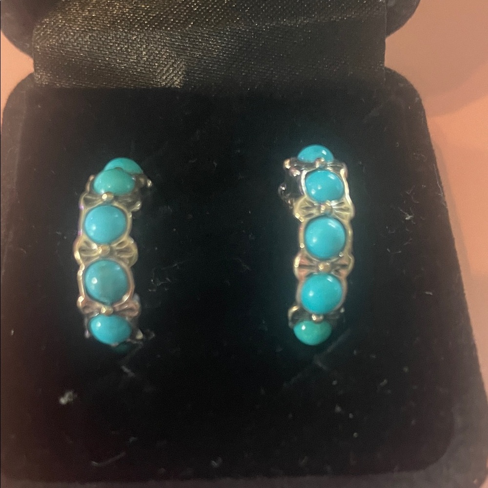 Sleeping Beauty Turquoise Sterling Silver Hoop Earrings